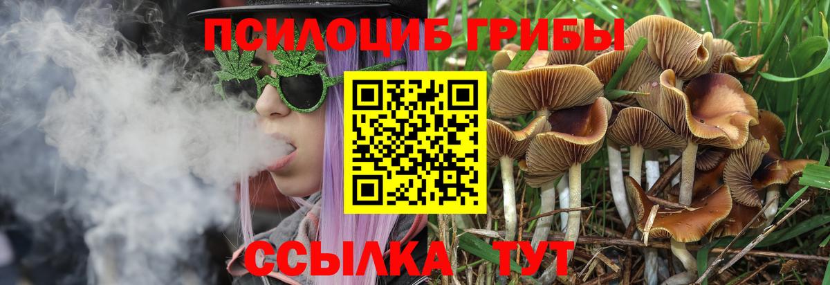 Псилоцибиновые грибы GOLDEN TEACHER Орехово-Зуево